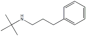 tert-butyl(3-phenylpropyl)amine Structure