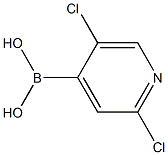 2.5-Dichloropyrindine-4-boronic acid Structure