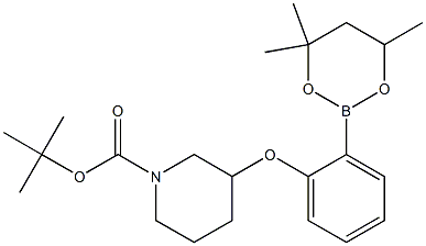 tert-Butyl 3-[2-(4,4,6-trimethyl-1,3,2-dioxaborinan-2-yl)phenoxy]piperidine-1-carboxylate 구조식 이미지