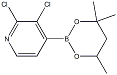 2,3-Dichloro-4-(4,4,6-trimethyl-1,3,2-dioxaborinan-2-yl)pyridine 구조식 이미지