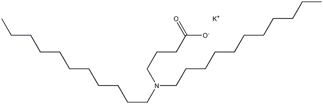 4-(Diundecylamino)butyric acid potassium salt 구조식 이미지