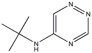 5-(tert-Butylamino)-1,2,4-triazine 구조식 이미지