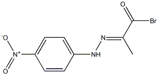 2-[2-(4-Nitrophenyl)hydrazono]propionyl bromide 구조식 이미지