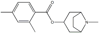 2,4-Dimethylbenzoic acid 8-methyl-8-azabicyclo[3.2.1]octan-3-yl ester Structure