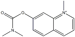 1-Methyl-7-[(dimethylcarbamoyl)oxy]quinolinium Structure