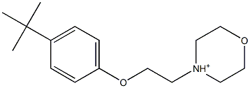 4-[2-[4-(tert-Butyl)phenoxy]ethyl]morpholine-4-cation 구조식 이미지