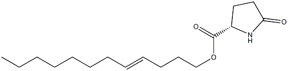 (S)-5-Oxopyrrolidine-2-carboxylic acid 4-dodecenyl ester 구조식 이미지