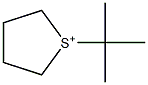 1-tert-Butylthiolan-1-ium 구조식 이미지