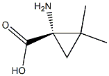 2,3-Methano-L-valine Structure