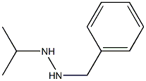 1-Benzyl-2-isopropylhydrazine 구조식 이미지