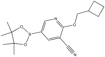 2-(cyclobutylmethoxy)-5-(4,4,5,5-tetramethyl-1,3,2-dioxaborolan-2-yl)pyridine-3-carbonitrile 구조식 이미지