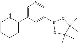 3-(4,4,5,5-tetraMethyl-1,3,2-dioxaborolan-2-yl)-5-(piperidin-2-yl)pyridine 구조식 이미지