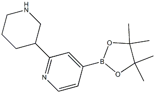 4-(4,4,5,5-tetraMethyl-1,3,2-dioxaborolan-2-yl)-2-(piperidin-3-yl)pyridine 구조식 이미지