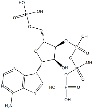 phospho-ABCA1 (Ser2054) Structure