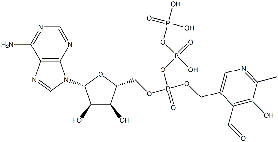 pyridoxal 5'-triphosphoadenosine Structure