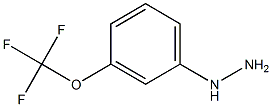 1-(3-(trifluoromethoxy)phenyl)hydrazine 구조식 이미지