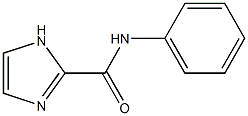 N-phenyl-1H-imidazole-2-carboxamide 구조식 이미지