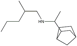 (1-{bicyclo[2.2.1]heptan-2-yl}ethyl)(2-methylpentyl)amine Structure