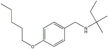 (2-methylbutan-2-yl)({[4-(pentyloxy)phenyl]methyl})amine Structure