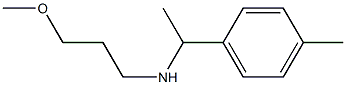 (3-methoxypropyl)[1-(4-methylphenyl)ethyl]amine 구조식 이미지