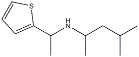 (4-methylpentan-2-yl)[1-(thiophen-2-yl)ethyl]amine Structure