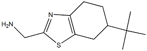 (6-tert-butyl-4,5,6,7-tetrahydro-1,3-benzothiazol-2-yl)methanamine 구조식 이미지