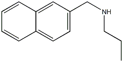 (naphthalen-2-ylmethyl)(propyl)amine 구조식 이미지