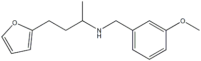 [4-(furan-2-yl)butan-2-yl][(3-methoxyphenyl)methyl]amine Structure