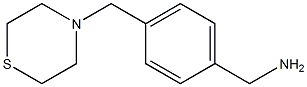 [4-(thiomorpholin-4-ylmethyl)phenyl]methanamine 구조식 이미지