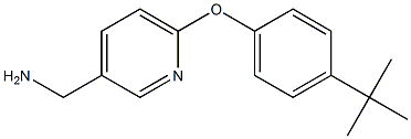 [6-(4-tert-butylphenoxy)pyridin-3-yl]methylamine 구조식 이미지