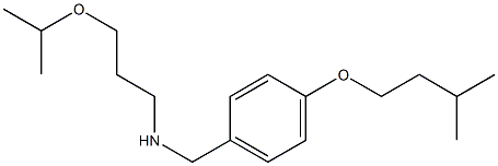 {[4-(3-methylbutoxy)phenyl]methyl}[3-(propan-2-yloxy)propyl]amine Structure