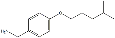 {4-[(4-methylpentyl)oxy]phenyl}methanamine Structure