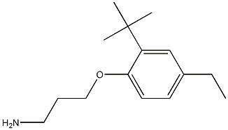 1-(3-aminopropoxy)-2-tert-butyl-4-ethylbenzene Structure