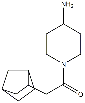 1-(4-aminopiperidin-1-yl)-2-{bicyclo[2.2.1]heptan-2-yl}ethan-1-one 구조식 이미지