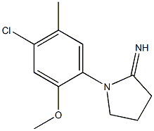 1-(4-chloro-2-methoxy-5-methylphenyl)pyrrolidin-2-imine Structure