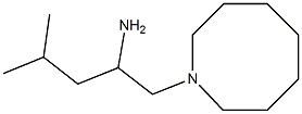 1-(azocan-1-yl)-4-methylpentan-2-amine Structure