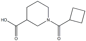 1-(cyclobutylcarbonyl)piperidine-3-carboxylic acid Structure