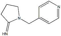 1-(pyridin-4-ylmethyl)pyrrolidin-2-imine 구조식 이미지