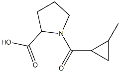 1-[(2-methylcyclopropyl)carbonyl]pyrrolidine-2-carboxylic acid Structure