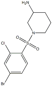 1-[(4-bromo-2-chlorobenzene)sulfonyl]piperidin-3-amine 구조식 이미지