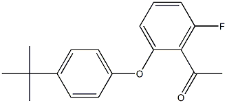 1-[2-(4-tert-butylphenoxy)-6-fluorophenyl]ethan-1-one 구조식 이미지