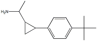 1-[2-(4-tert-butylphenyl)cyclopropyl]ethan-1-amine Structure