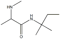 2-(methylamino)-N-(2-methylbutan-2-yl)propanamide 구조식 이미지