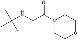 2-(tert-butylamino)-1-(morpholin-4-yl)ethan-1-one Structure