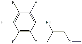 2,3,4,5,6-pentafluoro-N-(1-methoxypropan-2-yl)aniline Structure