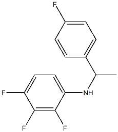 2,3,4-trifluoro-N-[1-(4-fluorophenyl)ethyl]aniline Structure