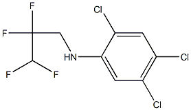 2,4,5-trichloro-N-(2,2,3,3-tetrafluoropropyl)aniline Structure