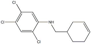 2,4,5-trichloro-N-(cyclohex-3-en-1-ylmethyl)aniline Structure