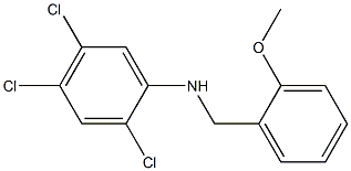 2,4,5-trichloro-N-[(2-methoxyphenyl)methyl]aniline 구조식 이미지