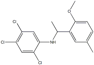 2,4,5-trichloro-N-[1-(2-methoxy-5-methylphenyl)ethyl]aniline Structure